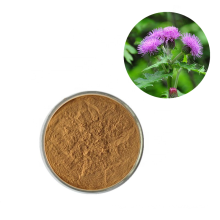 High Quality Pure Natural Silimarin Powder Form Milk Thistle Dry Extract Powder